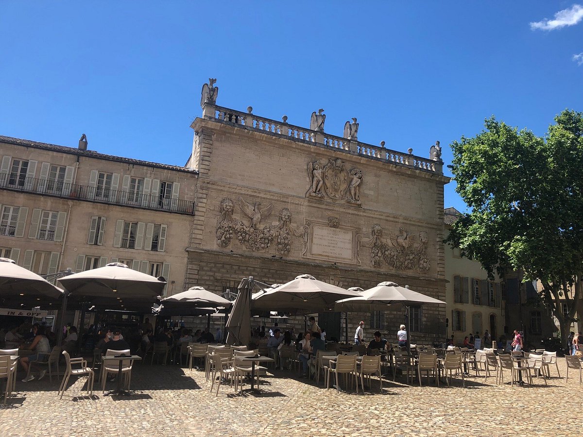 Avignon Private Tour - Visit Avignon with a private guide