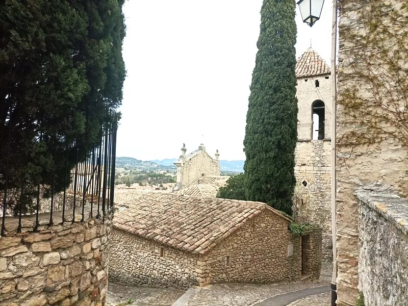 Vaison-la-Romaineツアーガイド, ロマン・ブショー