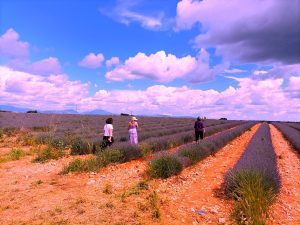 Tour em Provence