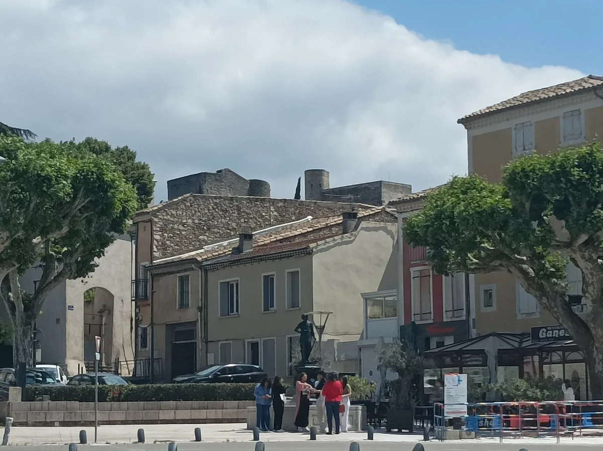 Ekskursija pėsčiomis Montélimare, Ekskursija su gidu Montélimare, Romainas Bouchaud