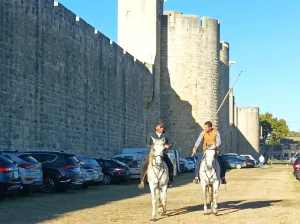 Tur i udhëhequr në Aigues-Mortes, Romain Bouchaud