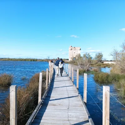 Aigues-Mortes