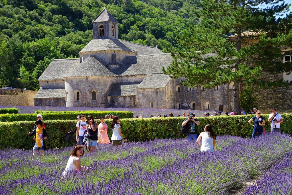 Read more about the article Visit Provence
