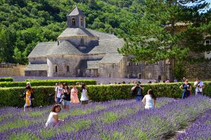 Tour to the Luberon, Provence Tour, Visit Provence
