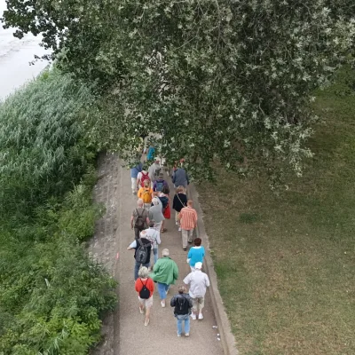 Avignon Tour Guide