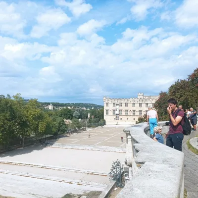 Avignon Private Tour – 4 hours