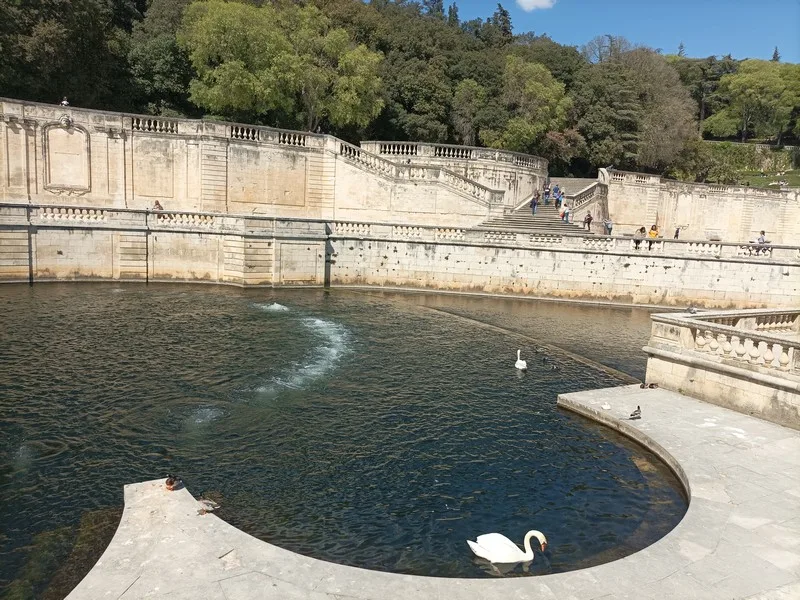 Экскурсія ў Nimes, Рамэн Бушо