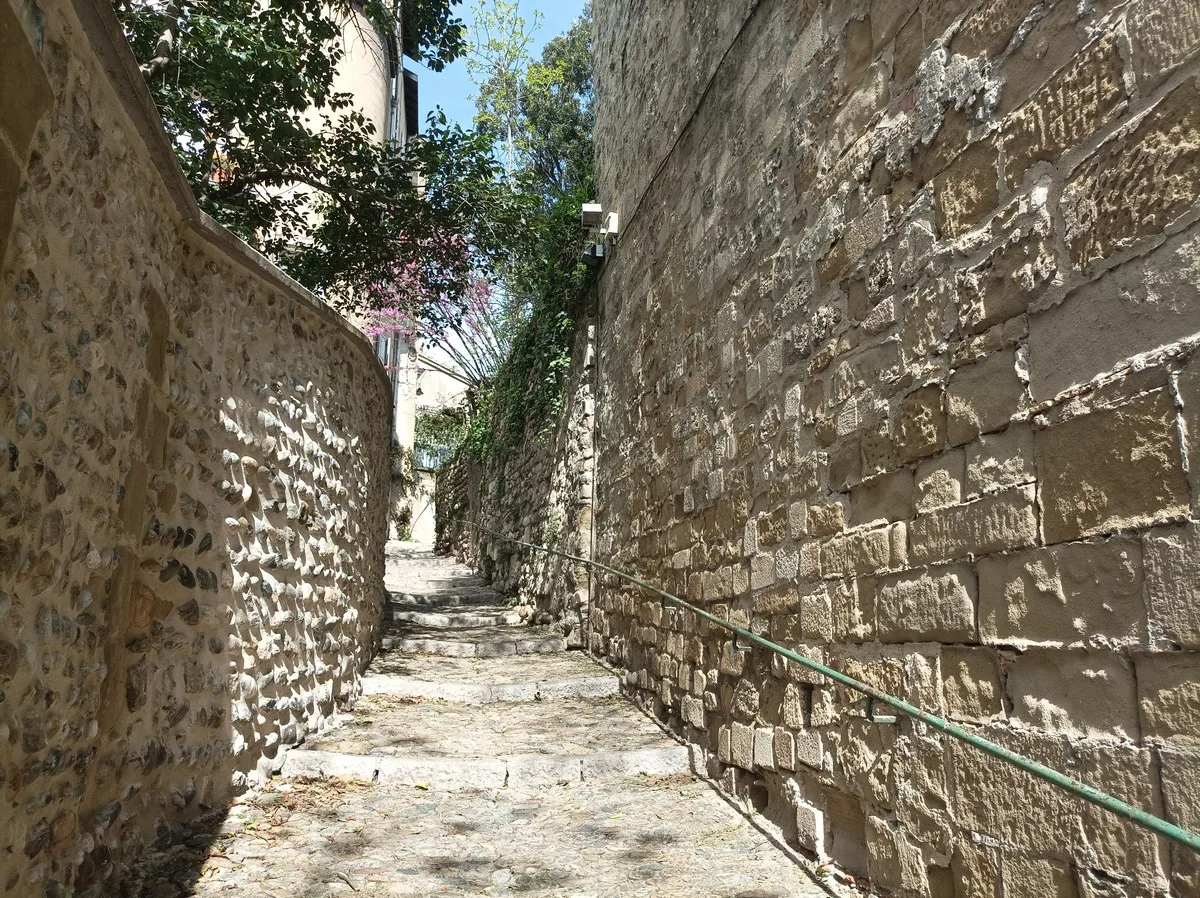 جولة إرشادية في فالنسيا, رومان بوشود
