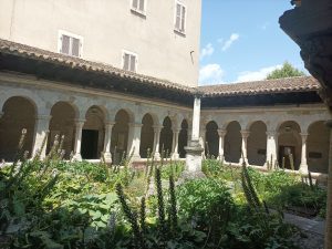 Vienne tour guide, Romain Bouchaud