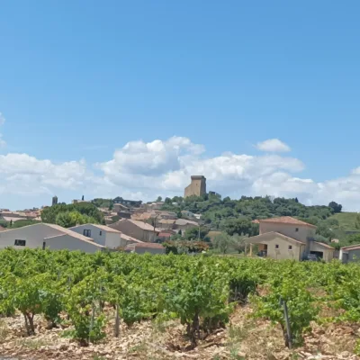 Châteauneuf-du-Pape