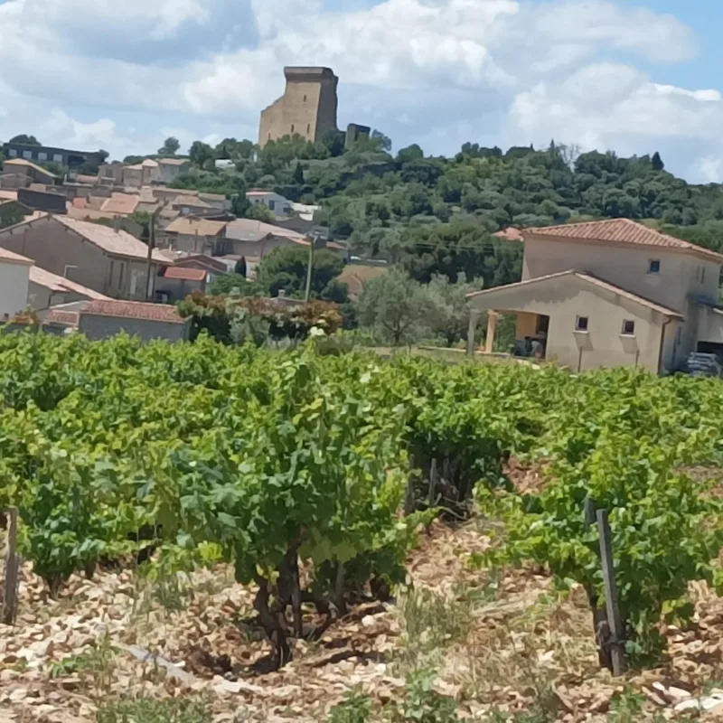 Aplankykite Châteauneuf-du-Pape