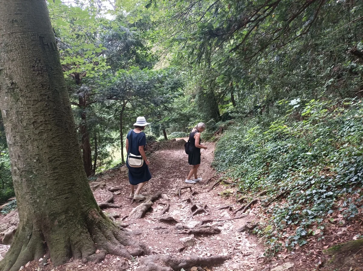 玛丽·玛格达琳之旅