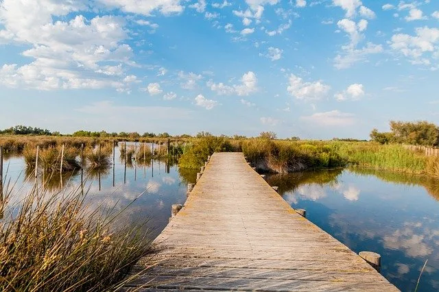 Turne private ne Camargue