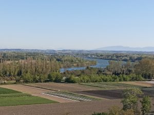 Tur berpemandu di Avignon, Romain Bouchaud