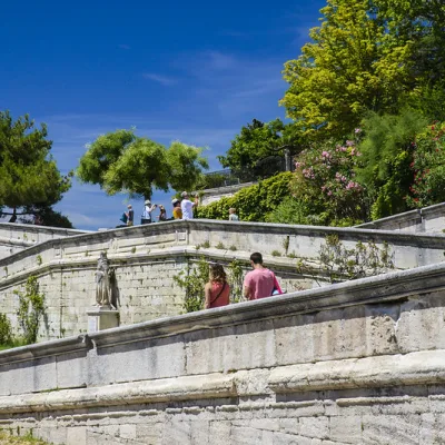 Avignon Private Tour – 4 hours