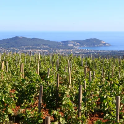 Tour to Le Castellet, Sanary-sur-Mer and Bandol – 8 hours