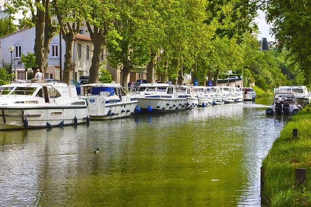 Udhërrëfyes turistik në Carcassonne