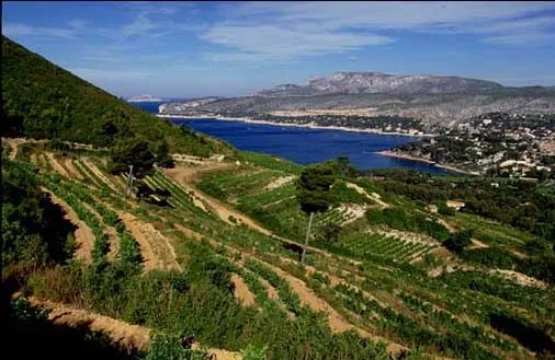 Aix-en-Provence এবং Cassis সফর - 8 ঘন্টা - চিত্র 10