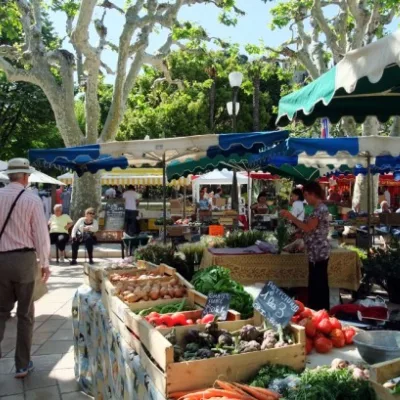 Tour to Marseille and Cassis – 8 hours