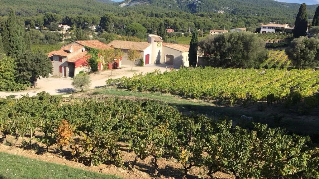 Visita a Cassis