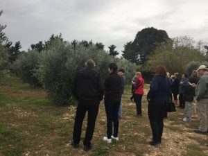 Guided tour in Les Baux-de-Provence, Romain Bouchaud