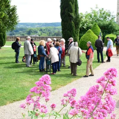 Guided tour in Les Baux-de-Provence – 2 hours