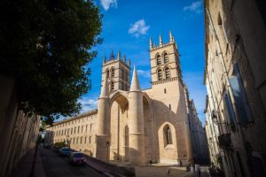 Guide touristique de Montpellier, Visite à pied de Montpellier