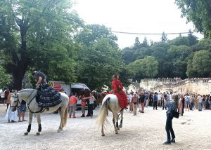 Tour to Nîmes