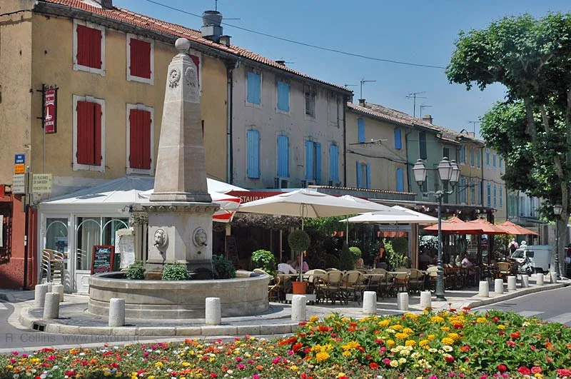 Guided tour in Saint-Rémy-de-Provence - 2 hours - Image 4