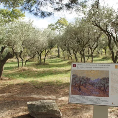 Tour to Saint-Rémy-de-Provence and Les Baux-de-Provence – 8 hours