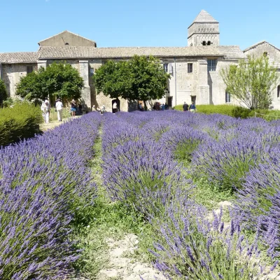 Tour to Saint-Rémy-de-Provence and Les Baux-de-Provence – 8 hours