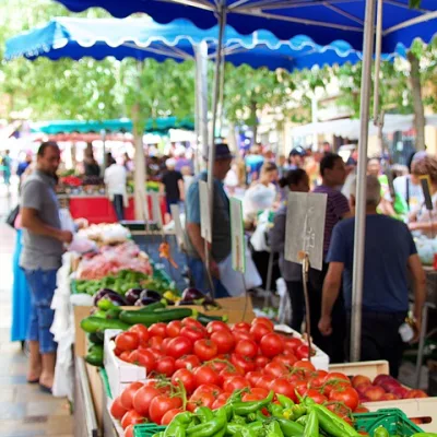 Toulon Private Tour – 4 hours