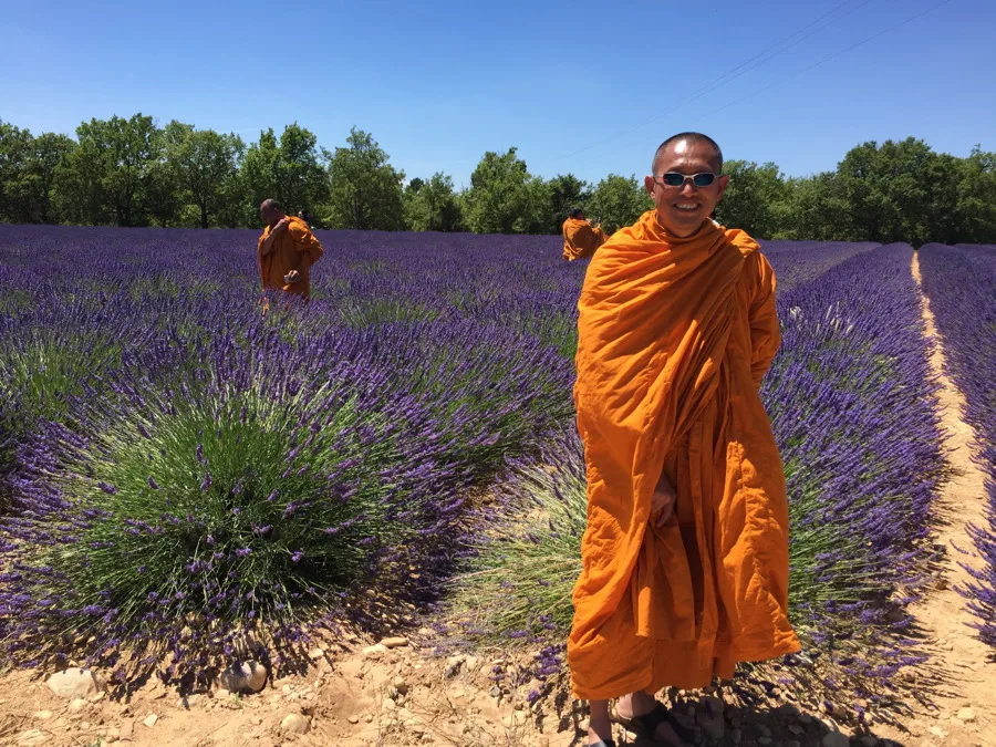 Provence laventel toer