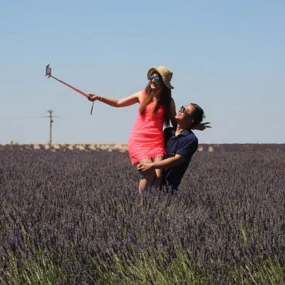 Lavender tour in Valensole – 8 hours