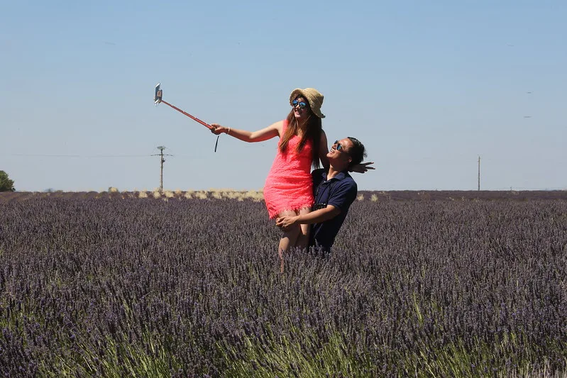Laventel toer