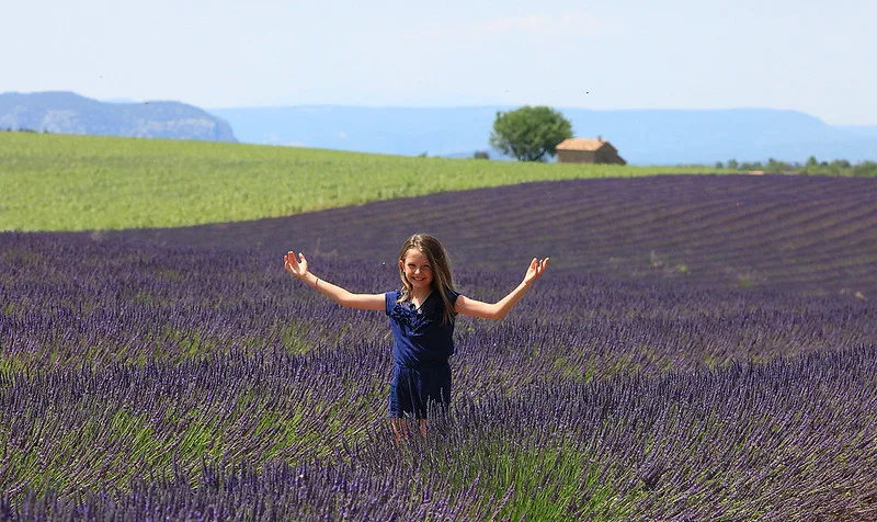 Tour to the lavender fields