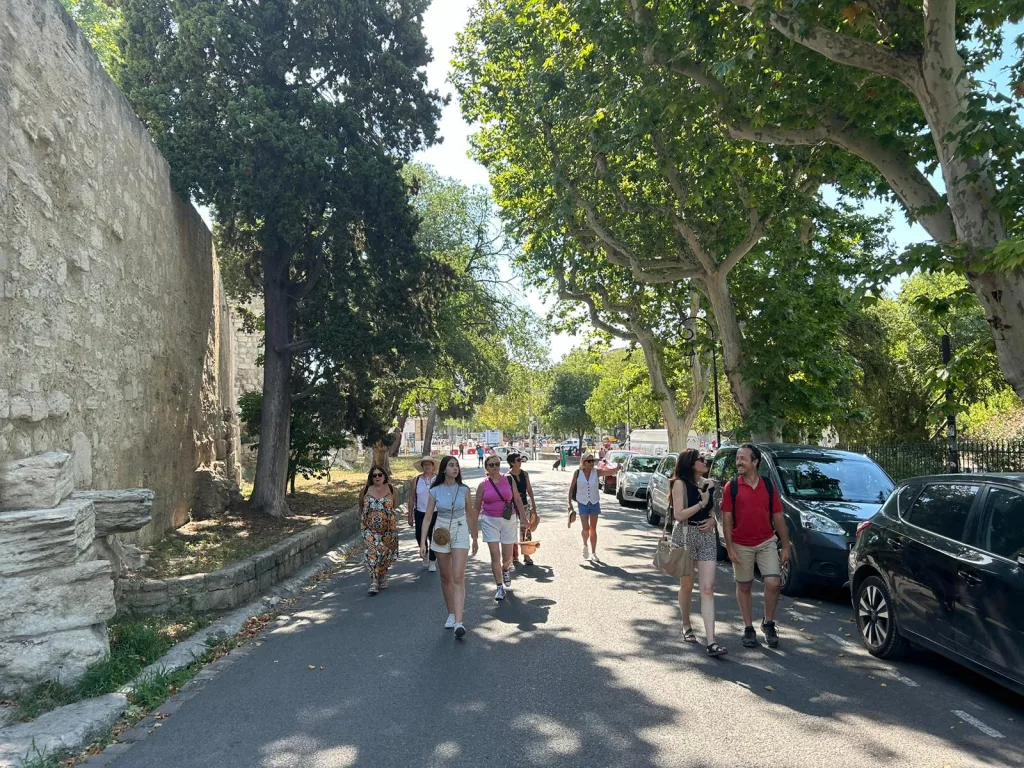 Guided tour in Arles