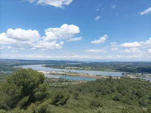 Екскурсія в Авіньйоні, Ромен Бушо
