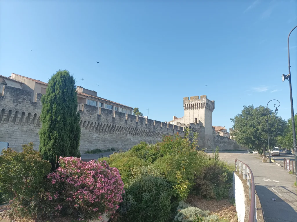 Guided tour in Avignon, Romain Bouchaud