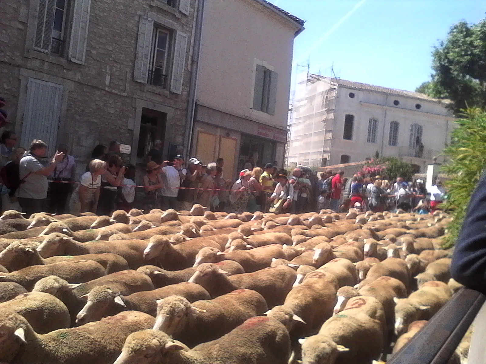 Guided tour in Saint-Rémy-de-Provence - 2 hours - Image 10