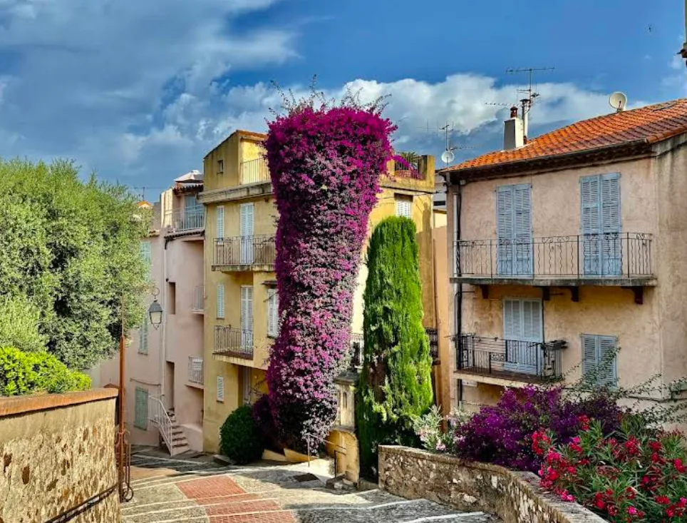 Visita guiada a Cannes