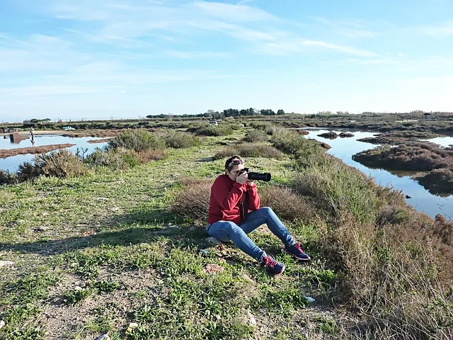 Turne ne Camargue