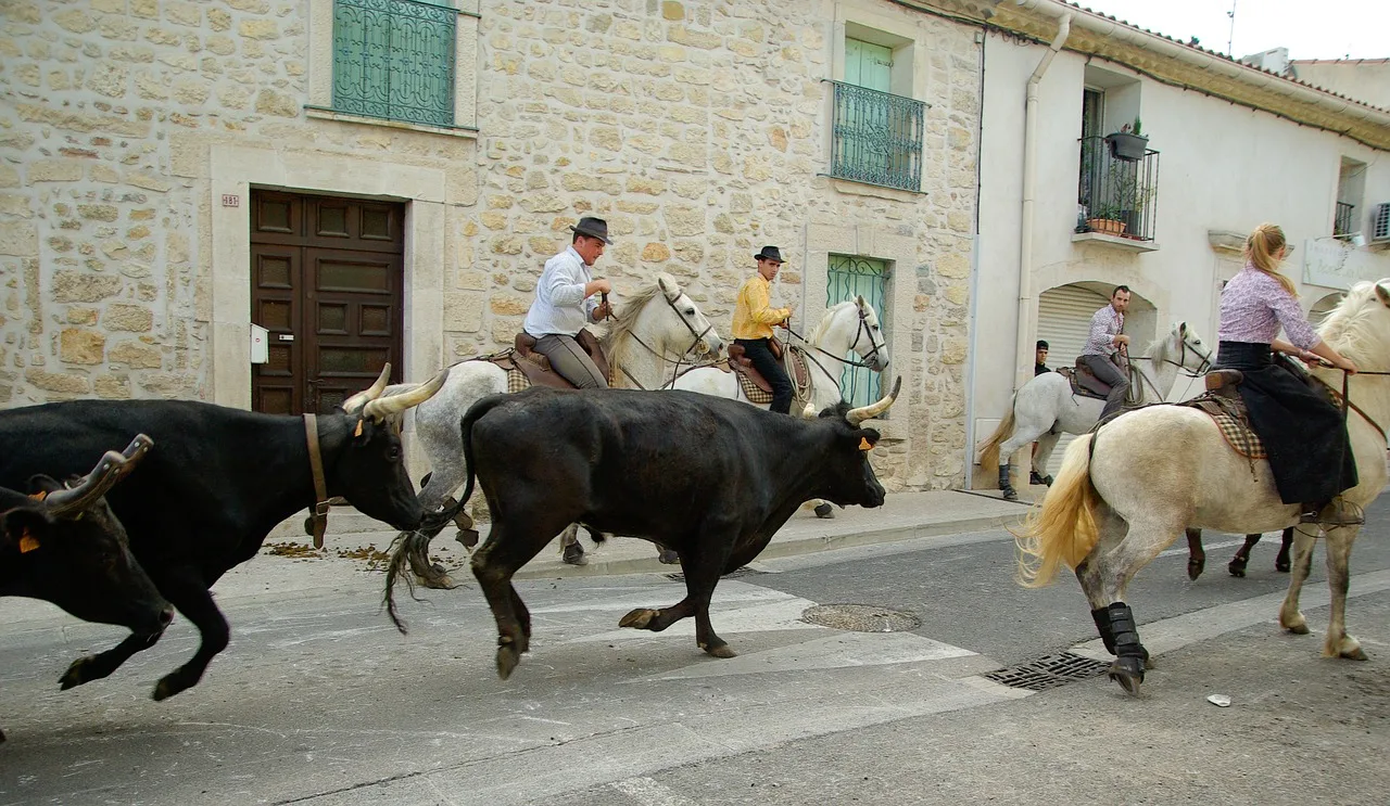 Turne private ne Camargue