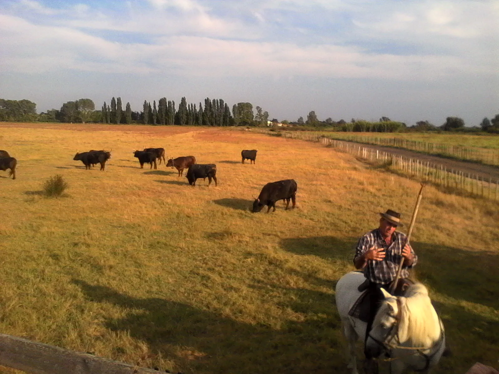 Turne private ne Camargue, Romain Bouchaud