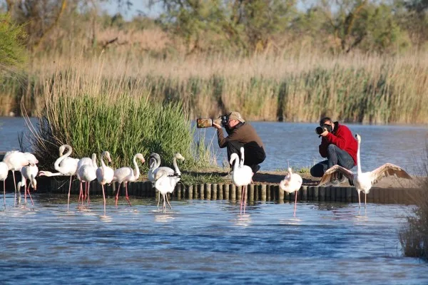 Turne private ne Camargue