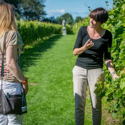 Tour to Avignon and Châteauneuf-du-Pape – 8 Hours