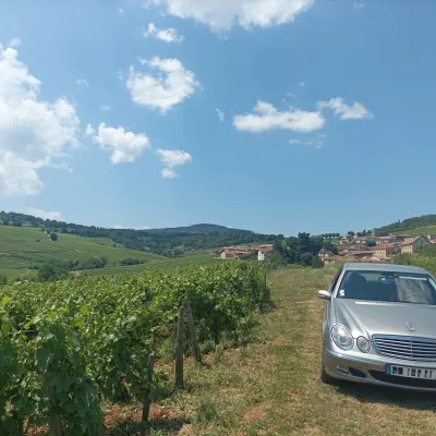Tour to Avignon and Châteauneuf-du-Pape – 8 Hours