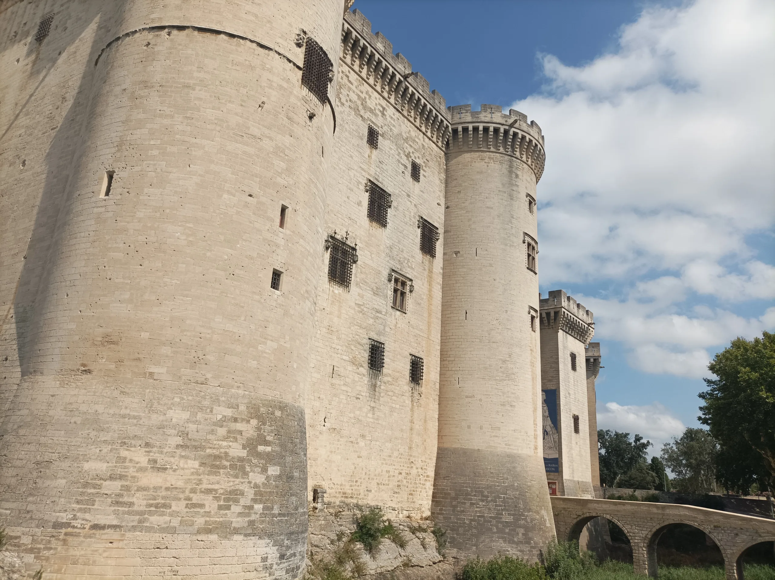 Guided tour in Tarascon