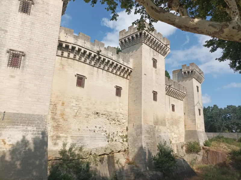 Visit Tarascon, Romain Bouchaud