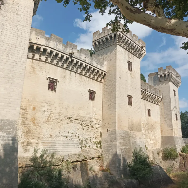 Besoek Tarascon